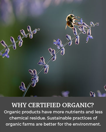 organic nutrients sustainable better environment farms lavender bee